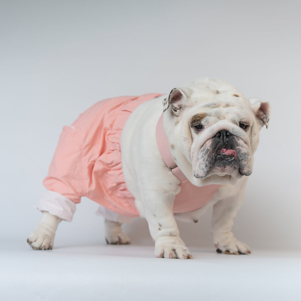 WONTON ONE PANTS 2 in ice-cream pink
