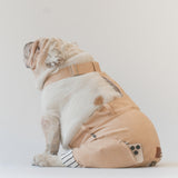 WONTON ONE Pants in beige