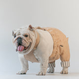 WONTON ONE Pants in beige