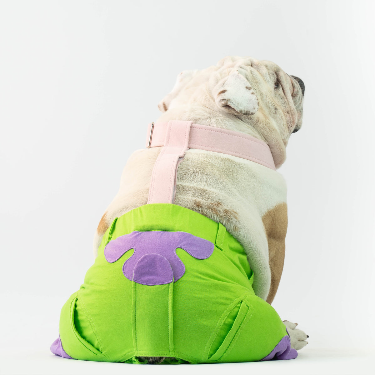 WONTON Patrick ONE PANTS THREE, SPECIAL EDITION