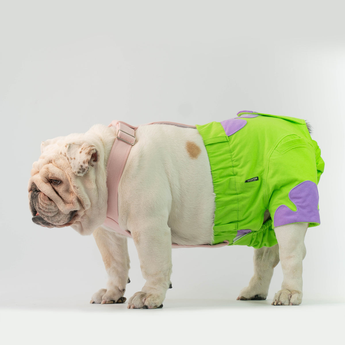 WONTON Patrick ONE PANTS THREE, SPECIAL EDITION