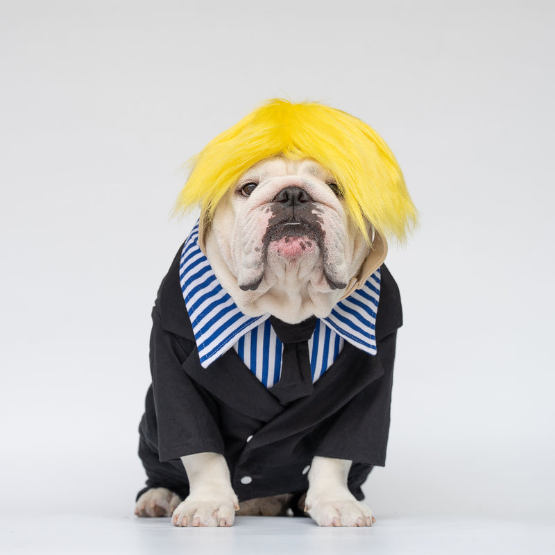 WONTON Pawji costume