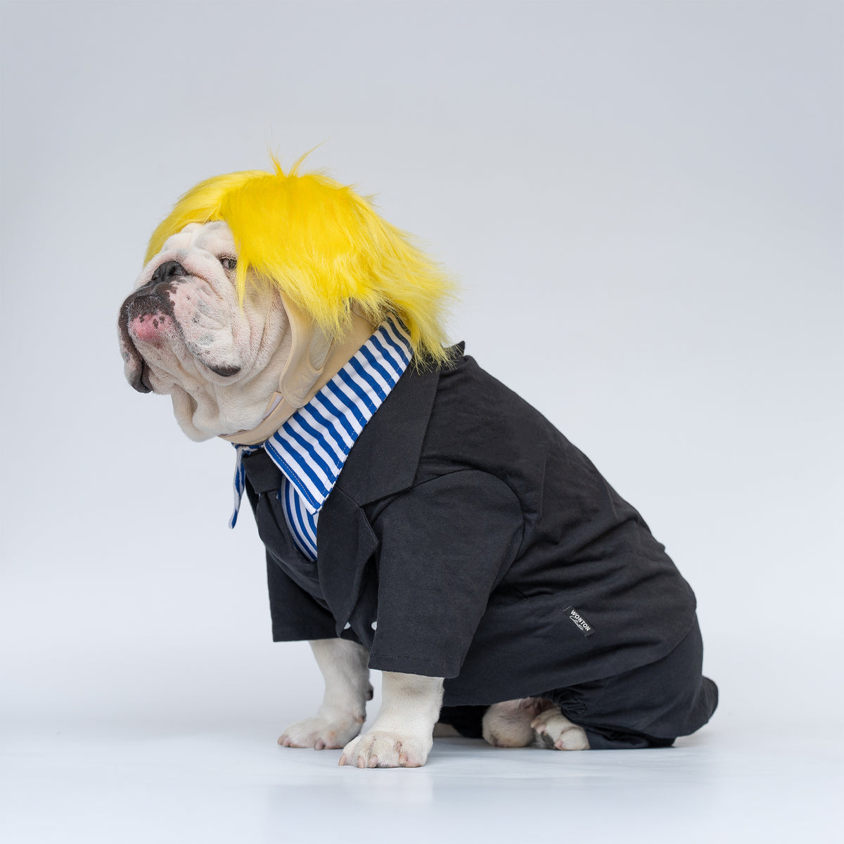 WONTON Pawji costume