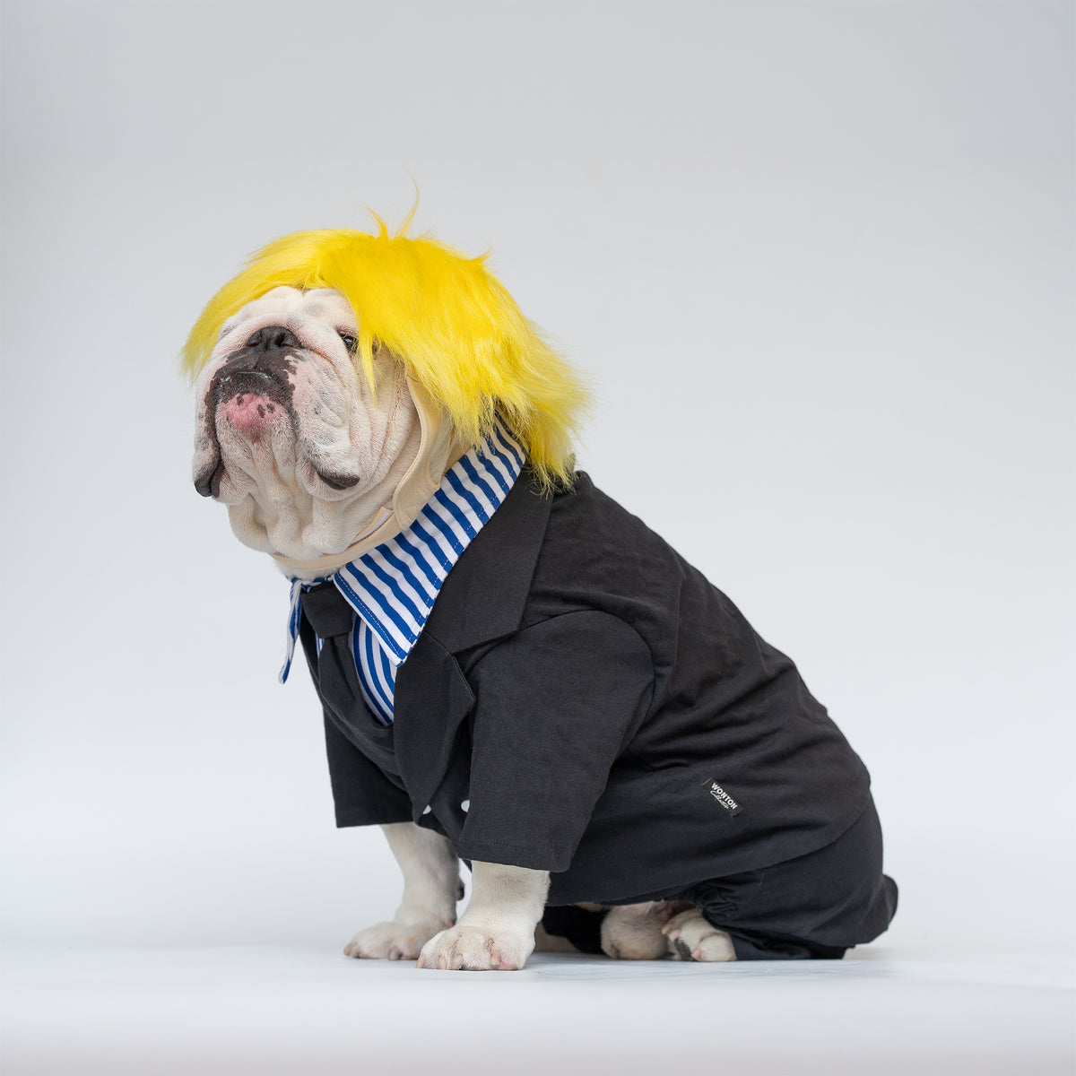 WONTON Pawji costume