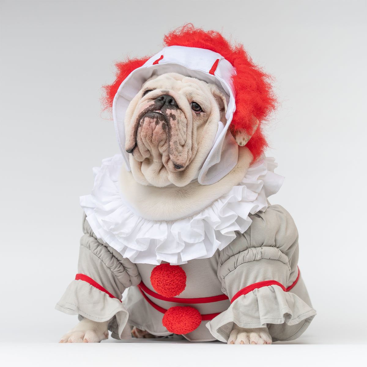 WONTON PennyWide costume - LIMITED EDITION