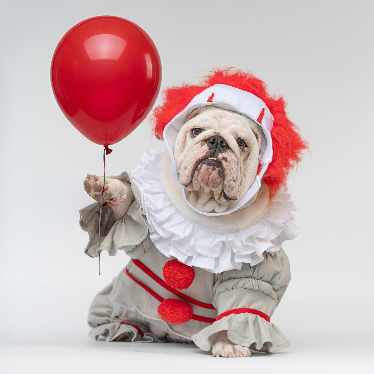 WONTON PennyWide costume - LIMITED EDITION