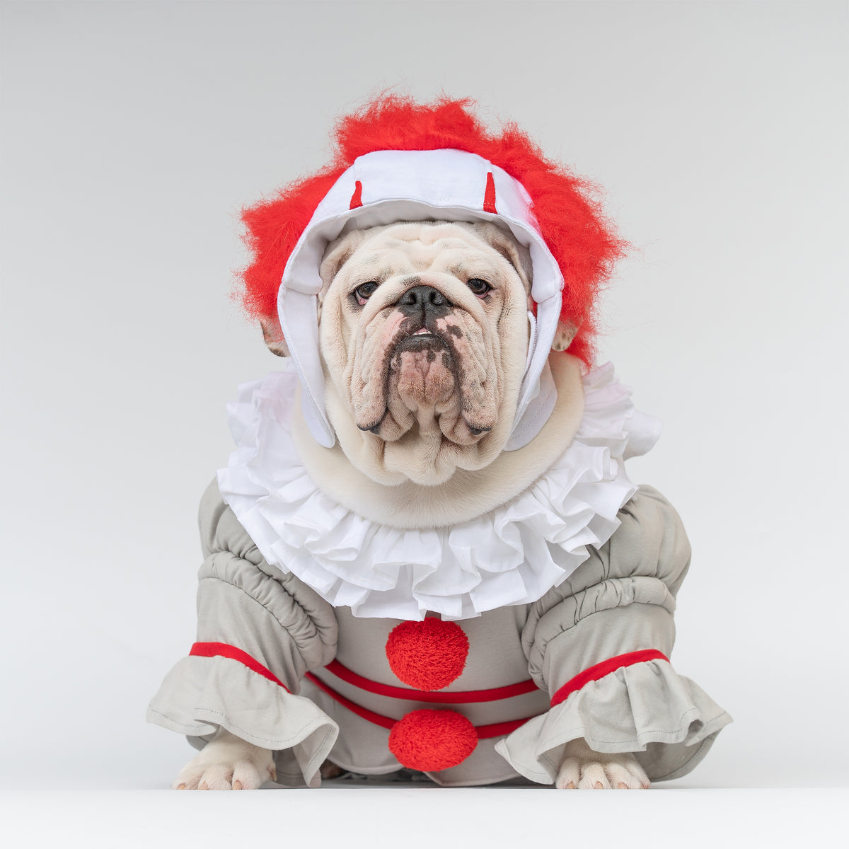WONTON PennyWide costume - LIMITED EDITION