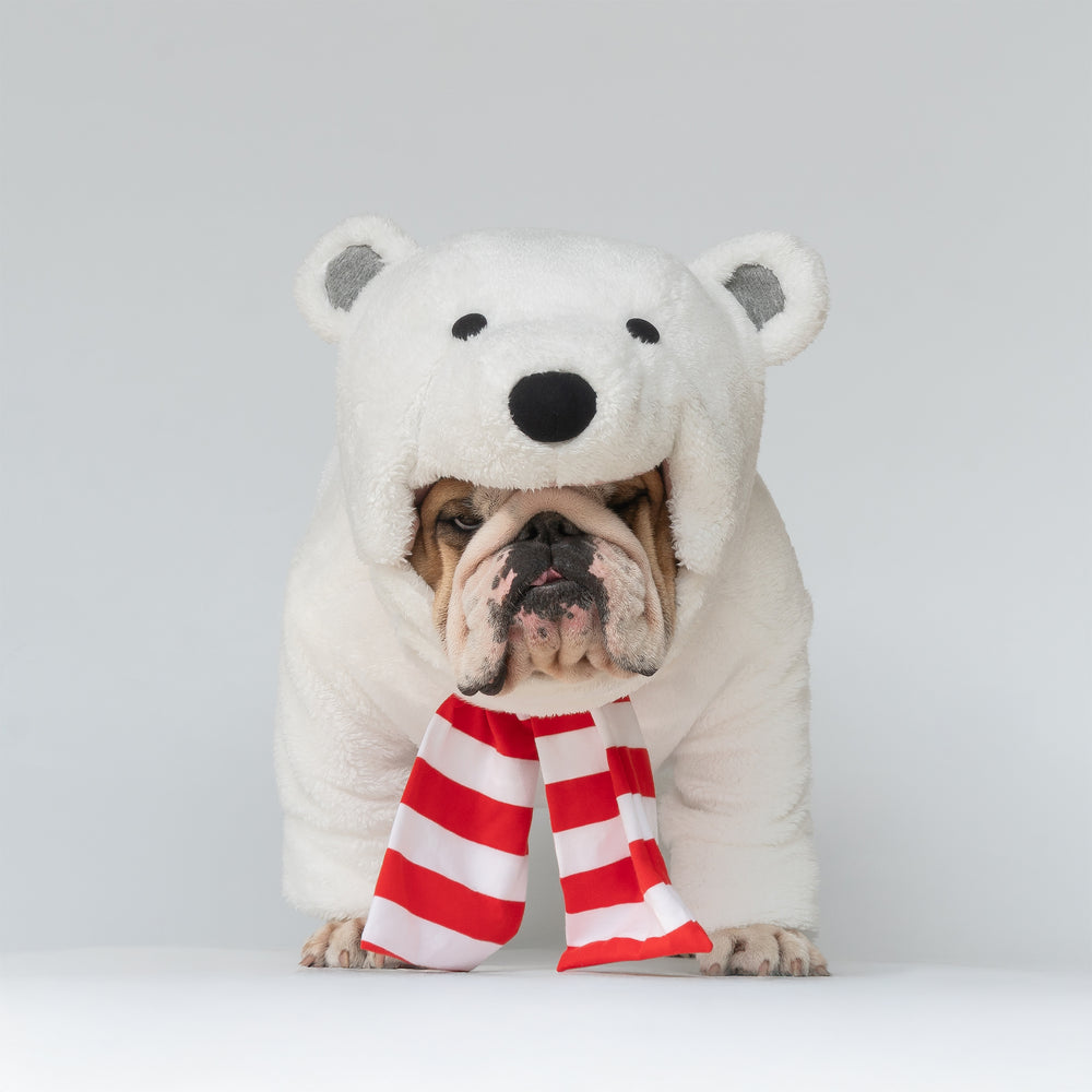 WONTON Polar Bear costume