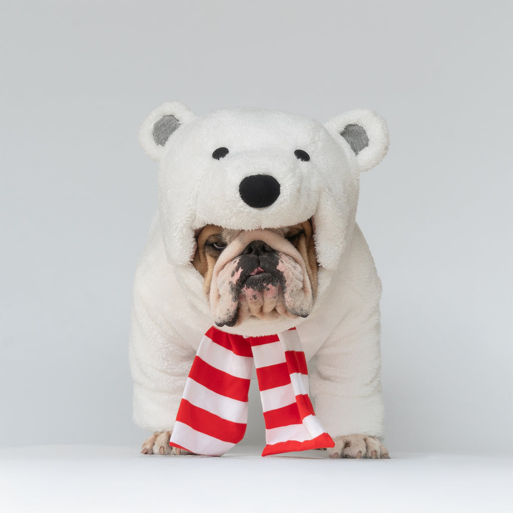 WONTON Polar Bear costume