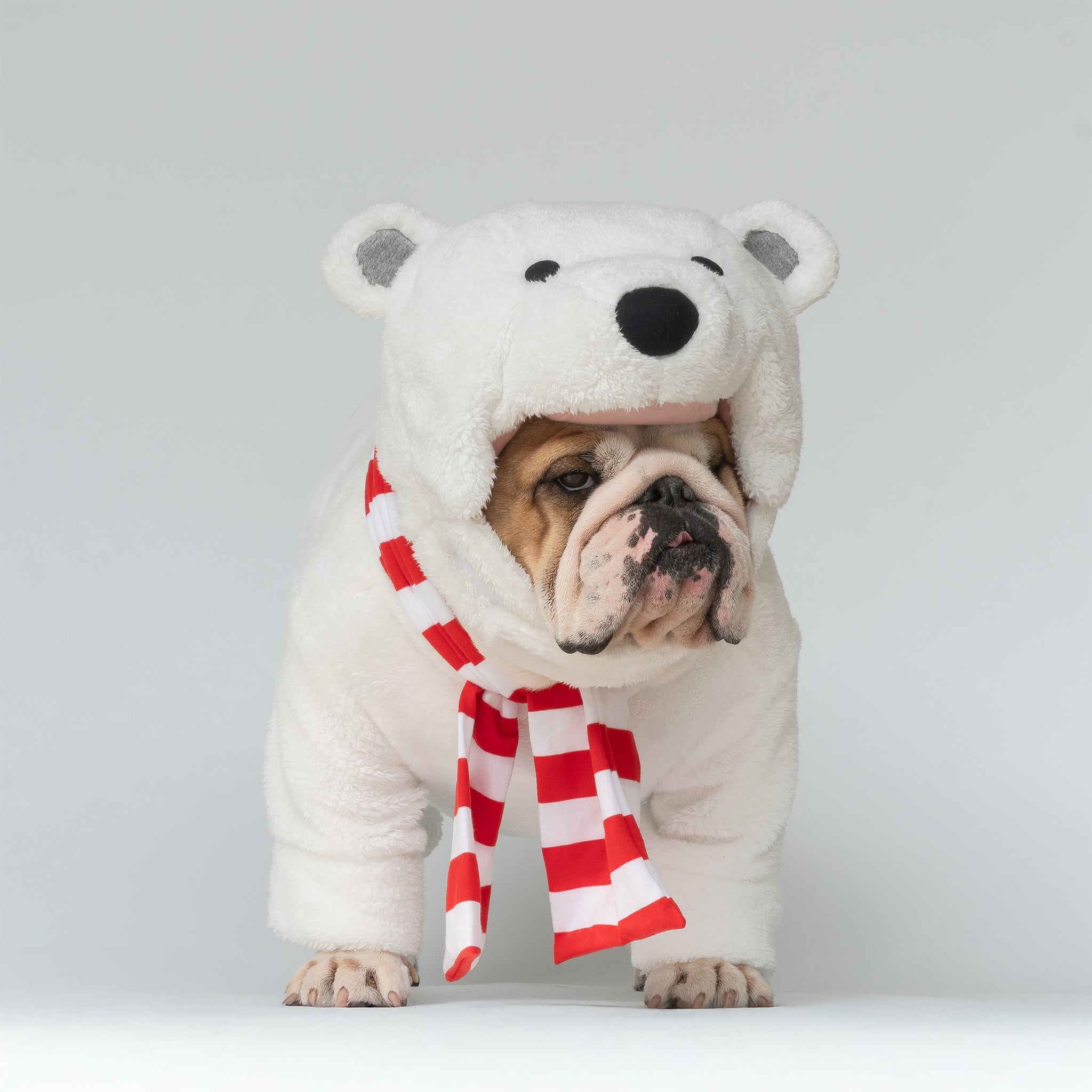 WONTON Polar Bear costume