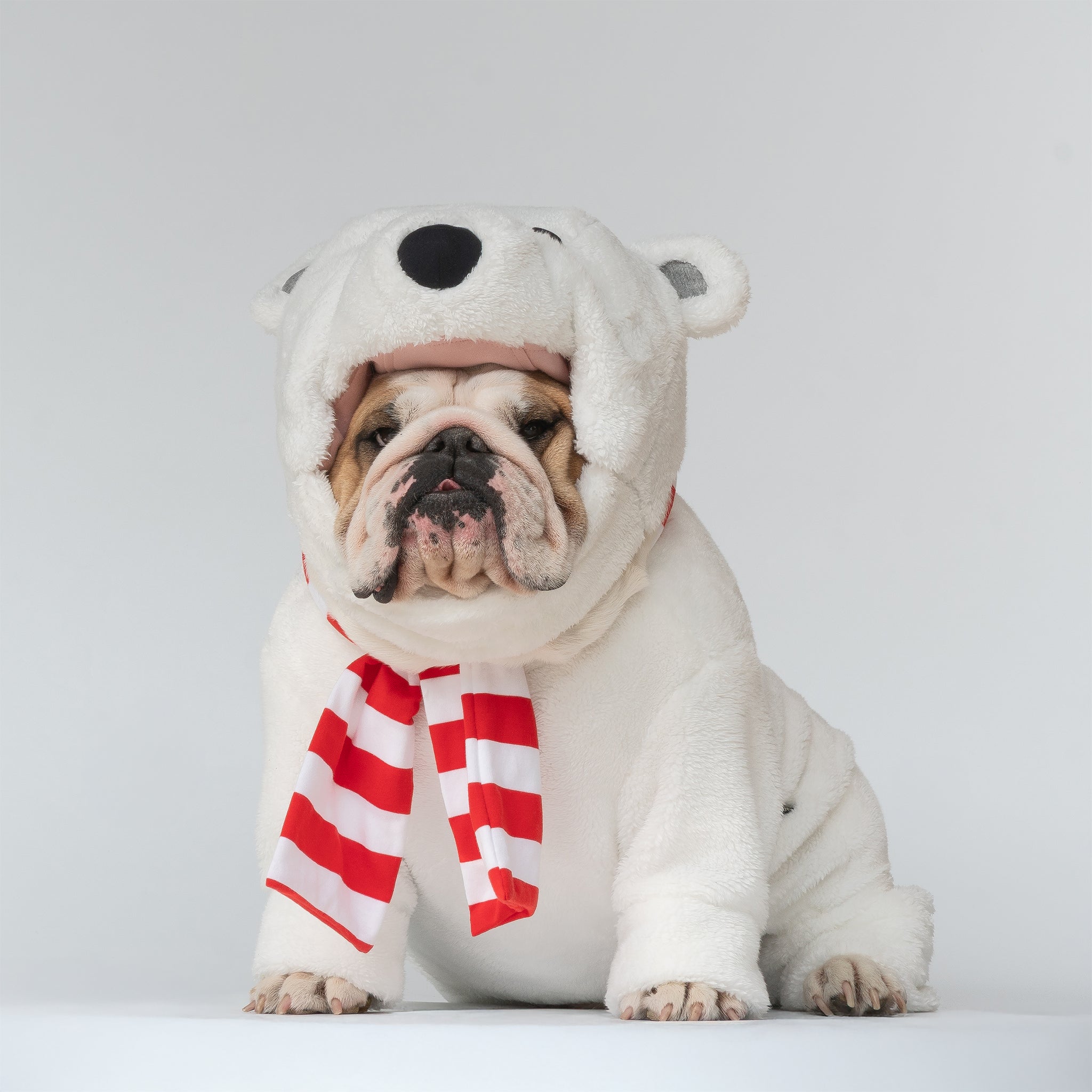 WONTON Polar Bear costume