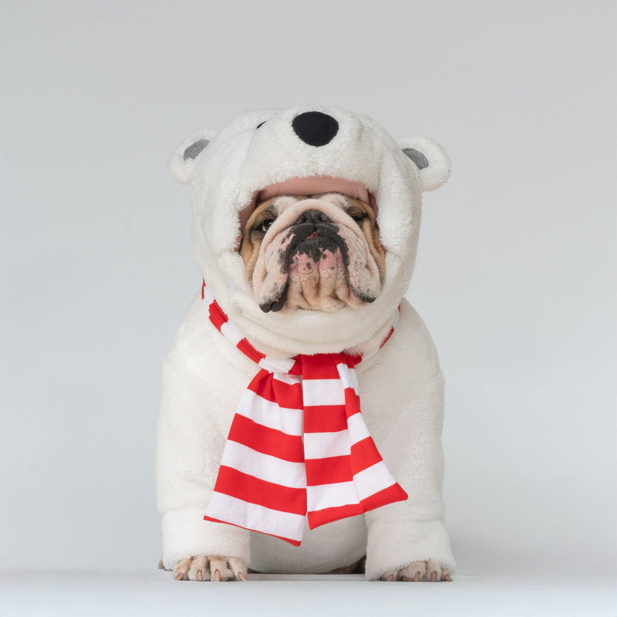 WONTON Polar Bear costume