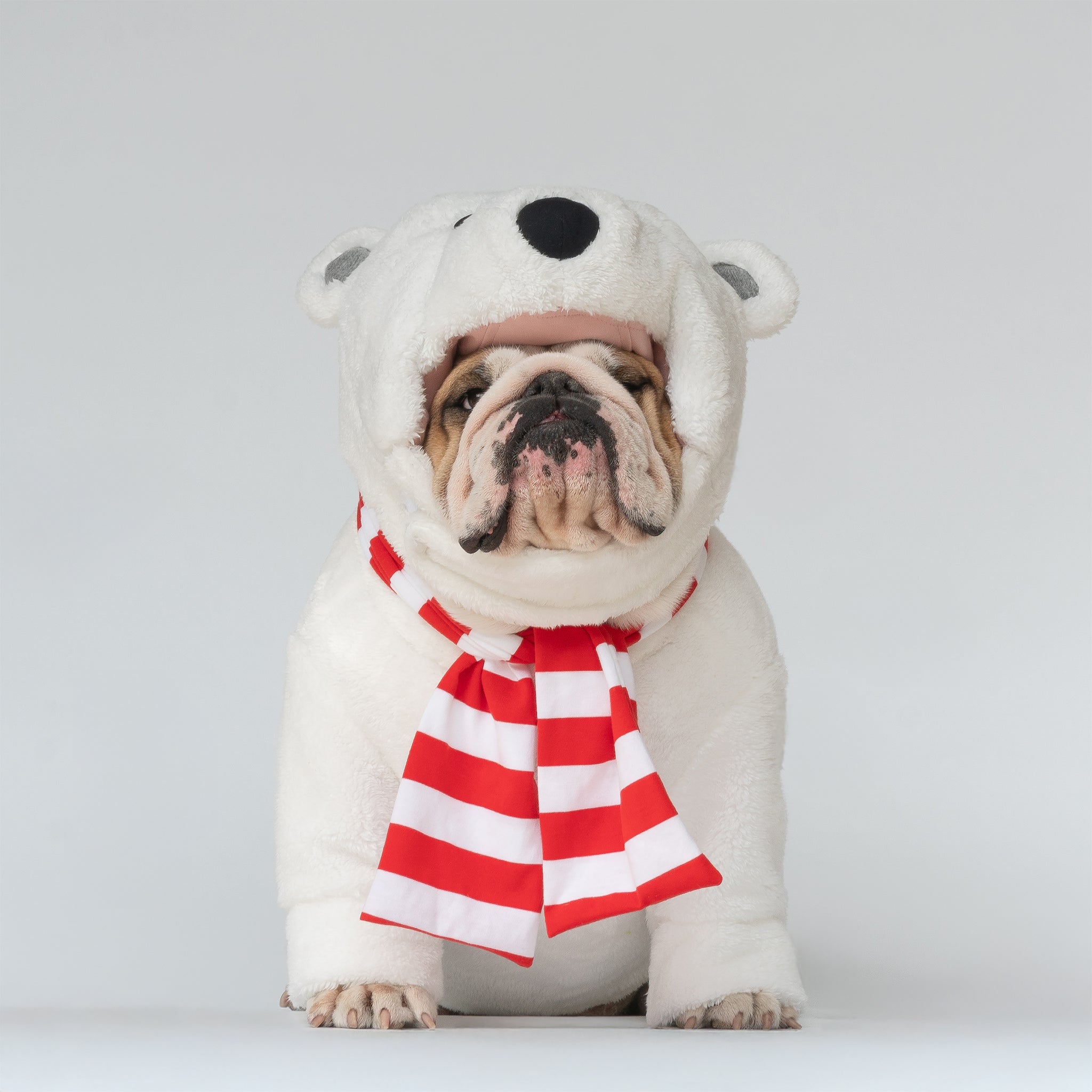 WONTON Polar Bear costume