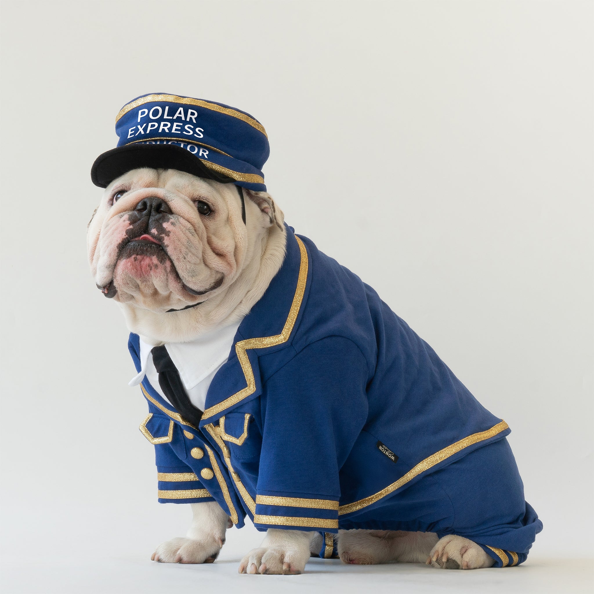 WONTON Polar Express Conductor costume