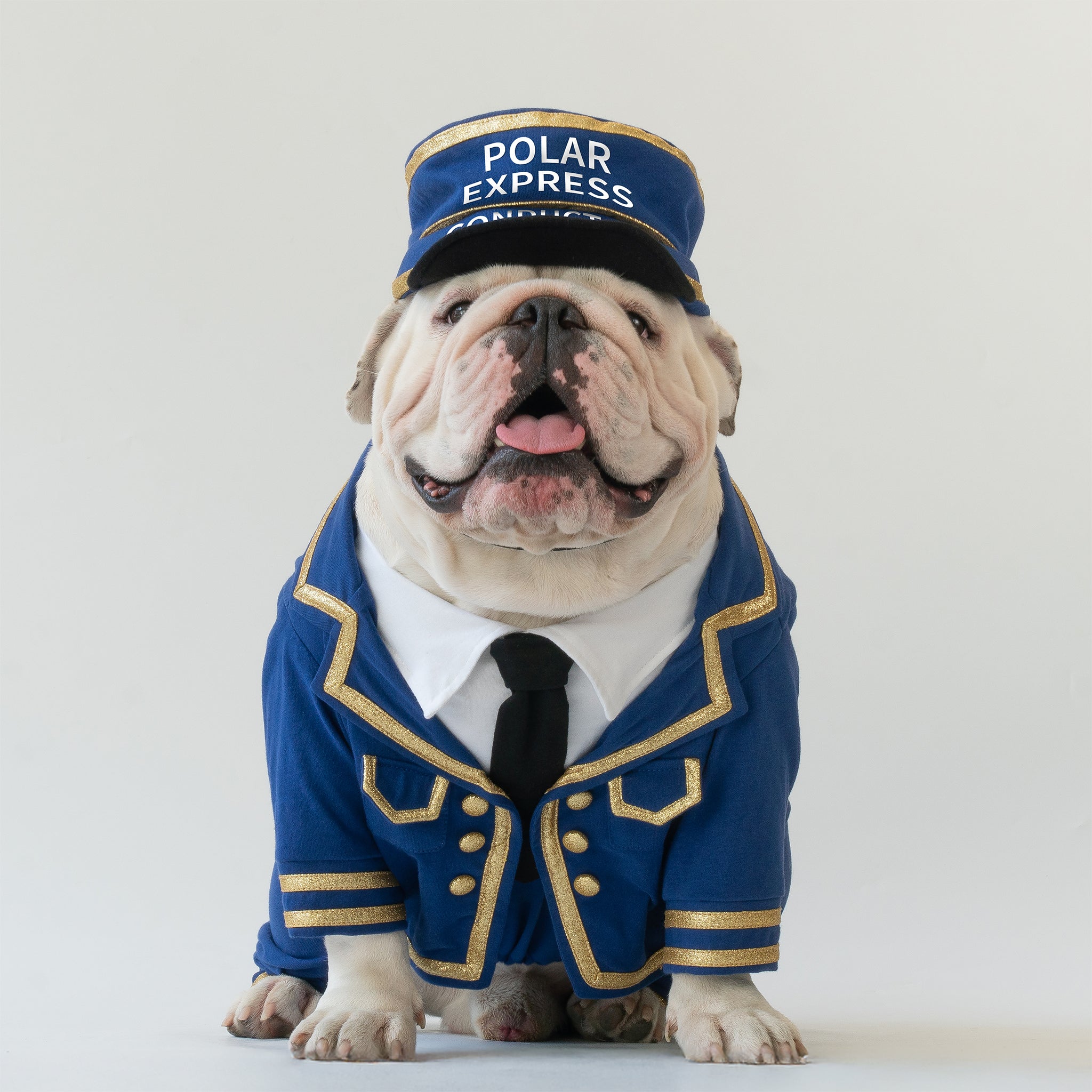 WONTON Polar Express Conductor costume