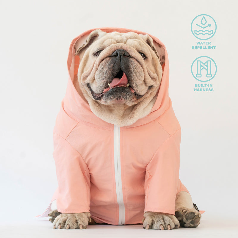 WONTON RAINFALL jacket in pink