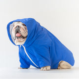 WONTON RAINFALL jacket in royal blue
