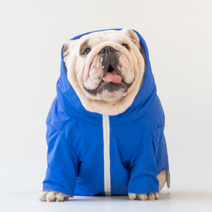 WONTON RAINFALL jacket in royal blue