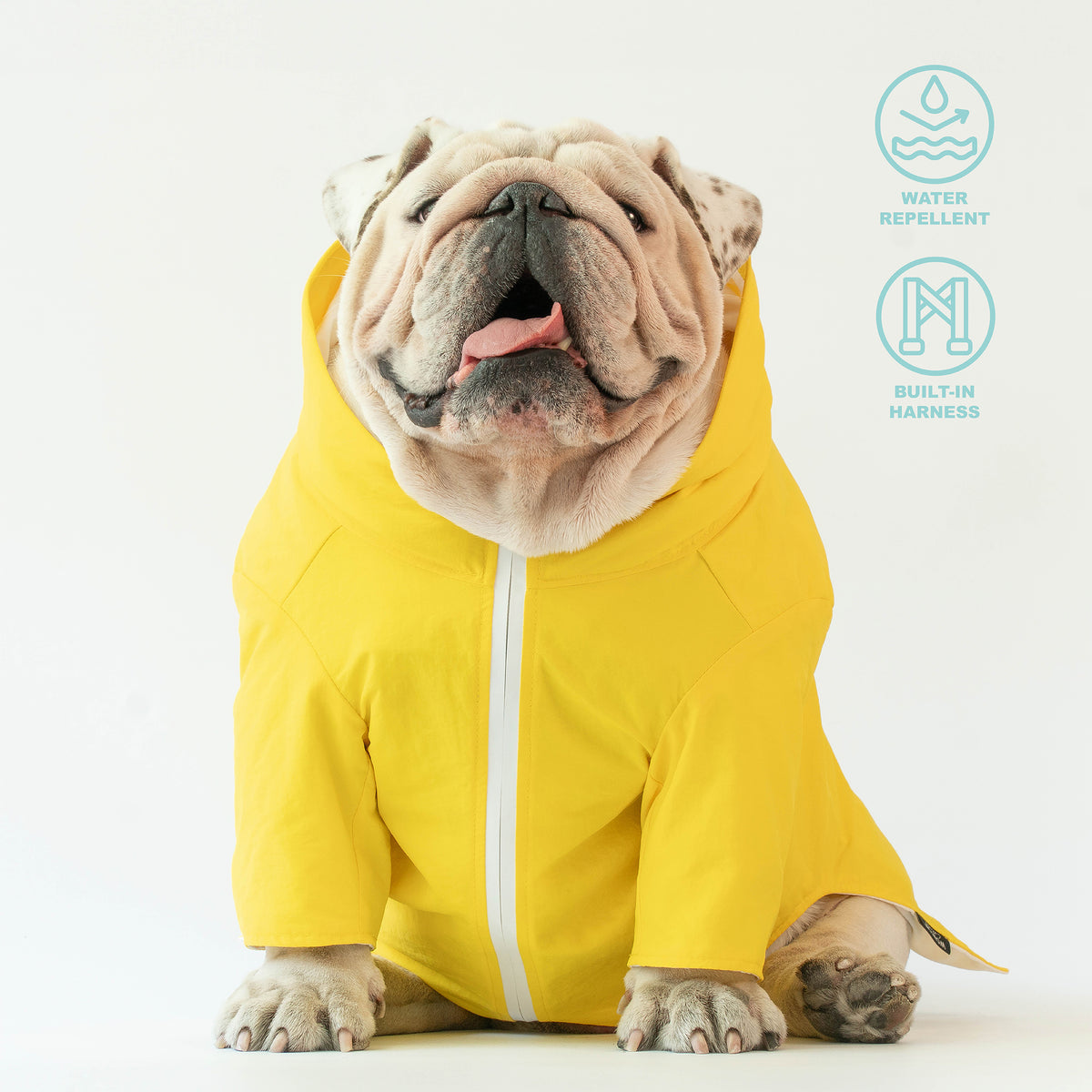 WONTON RAINFALL jacket in yellow