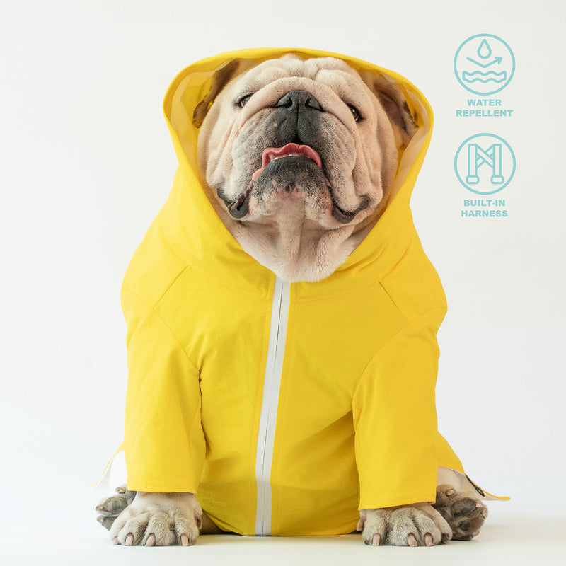 WONTON RAINFALL jacket in yellow