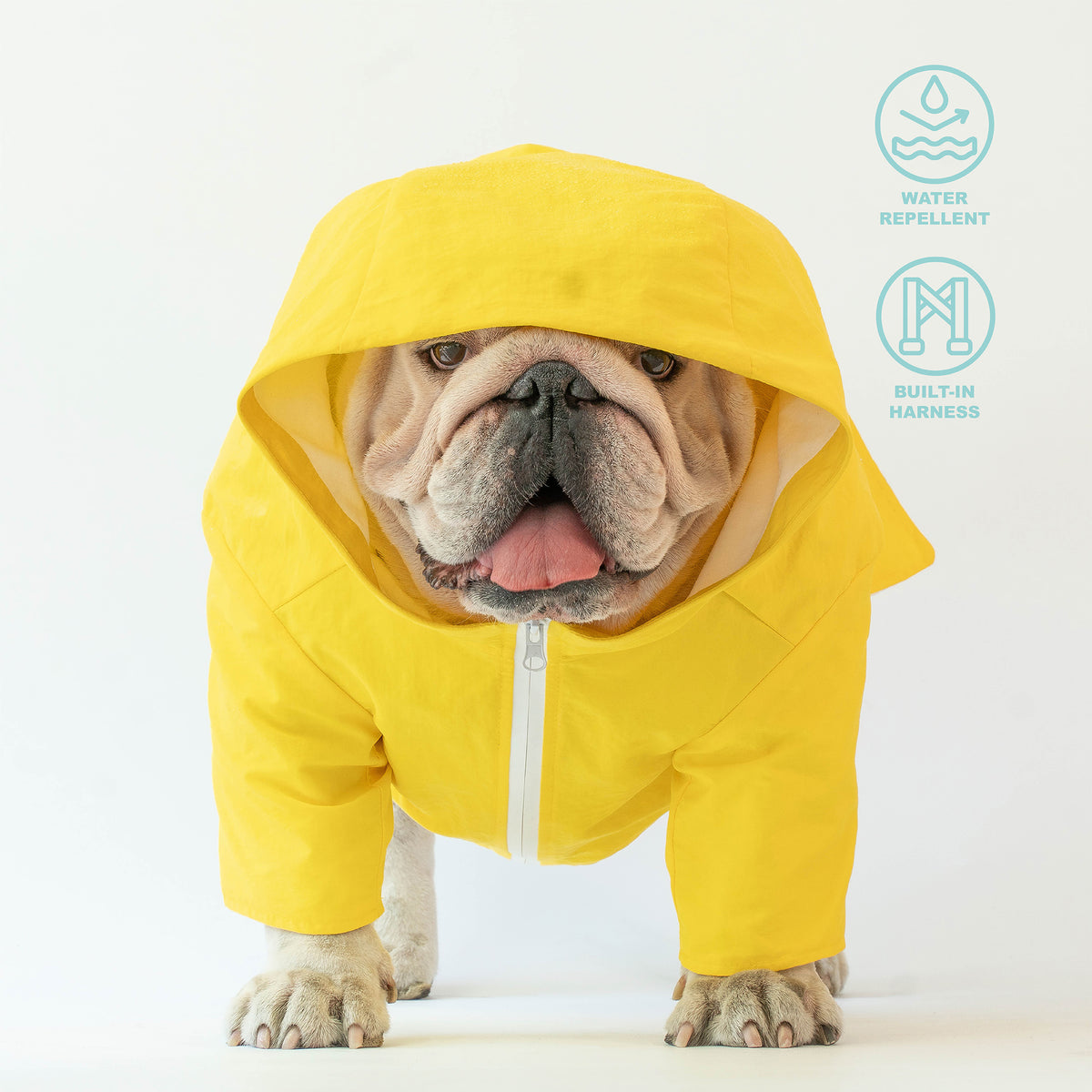 WONTON RAINFALL jacket in yellow