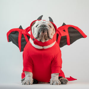 WONTON Red Devil costume