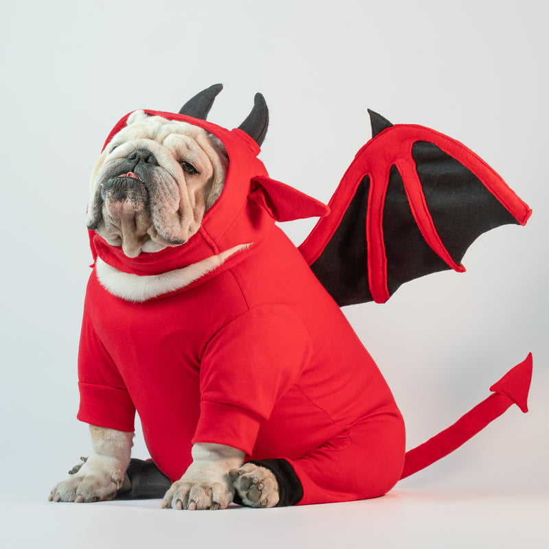 WONTON Red Devil costume