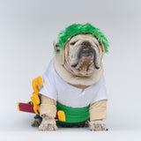 WONTON Ramenoa Paw-ro costume