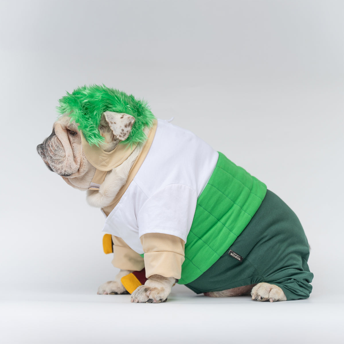 WONTON Ramenoa Paw-ro costume