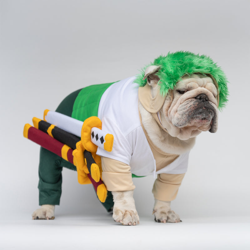 WONTON Ramenoa Paw-ro costume