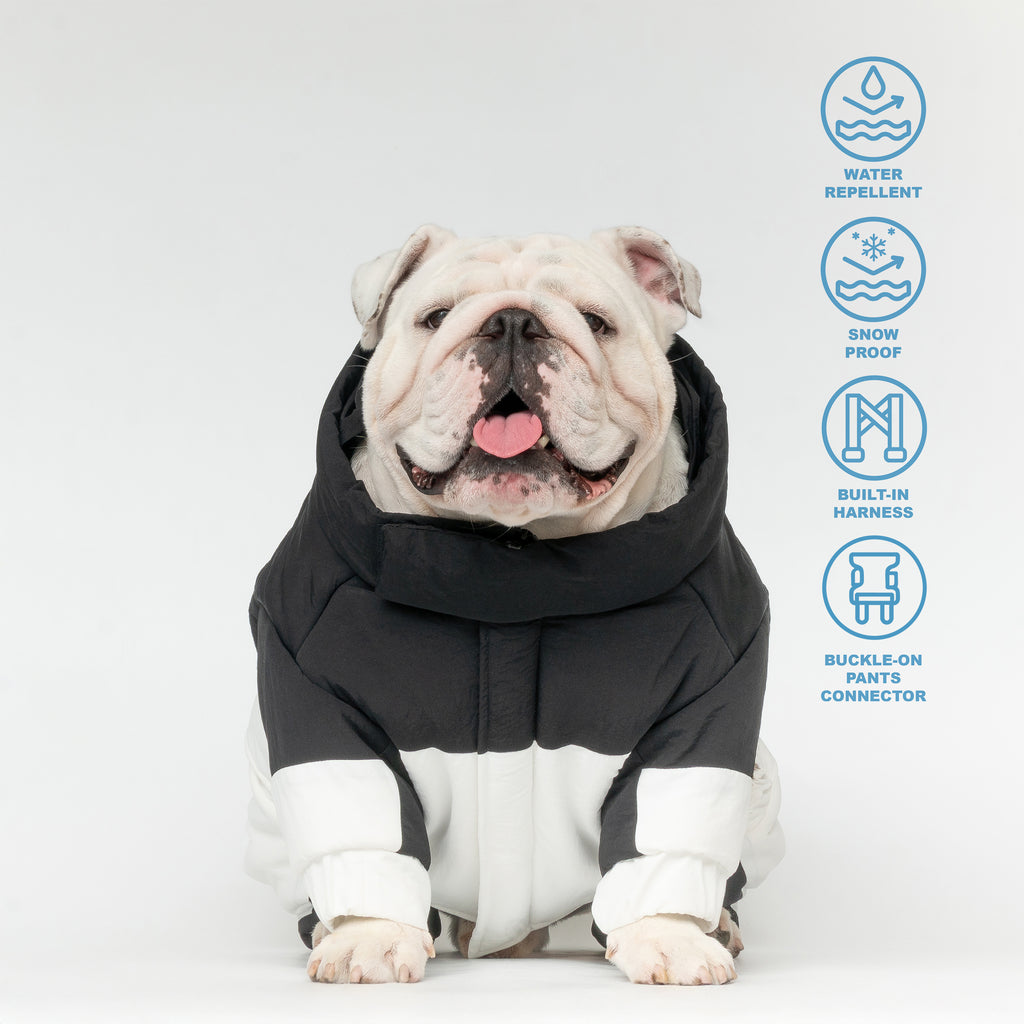 WONTON SNOWSTORM II in black and white