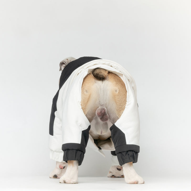 WONTON SNOWSTORM II PANTS in black and white (PANTS ONLY)
