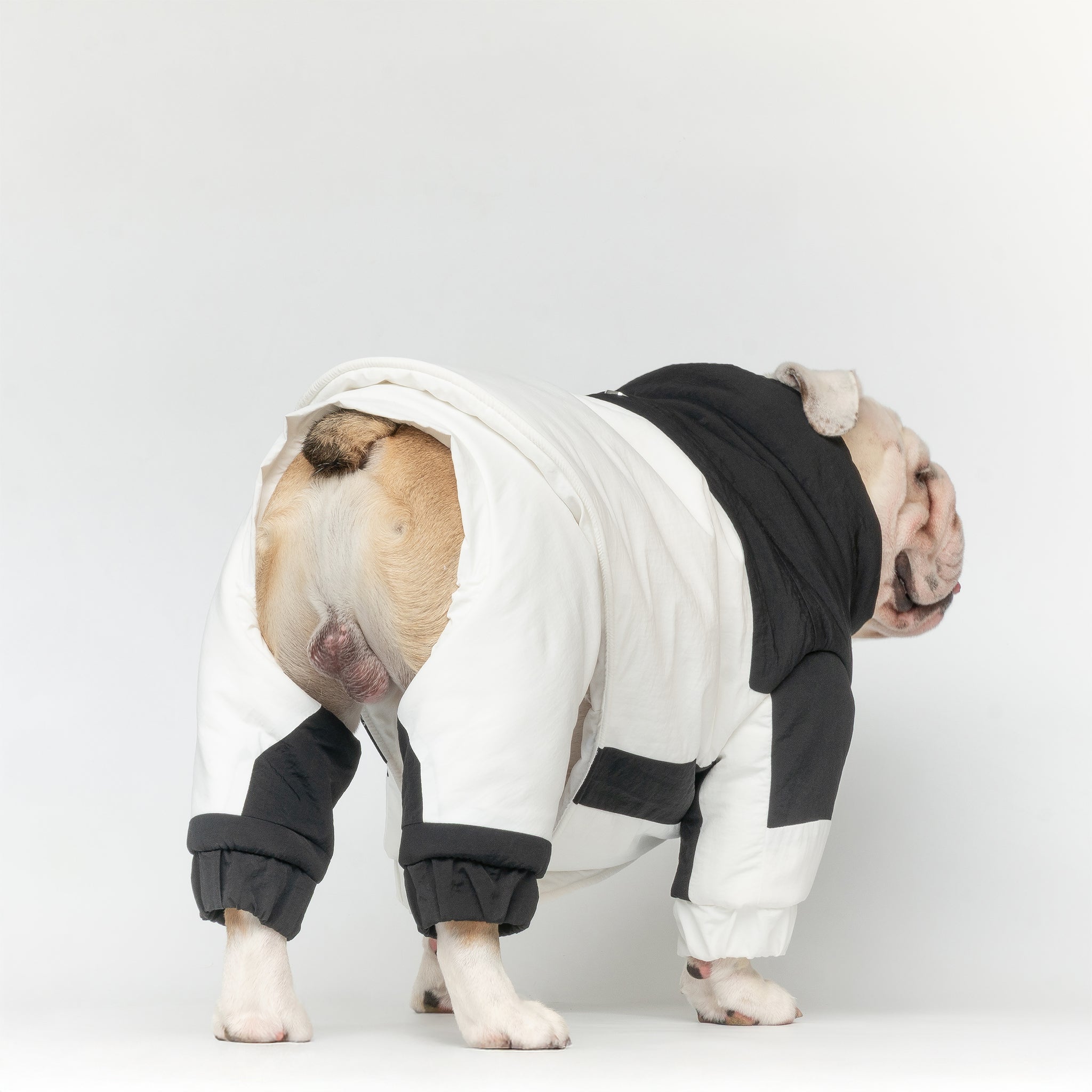 WONTON SNOWSTORM II in black and white