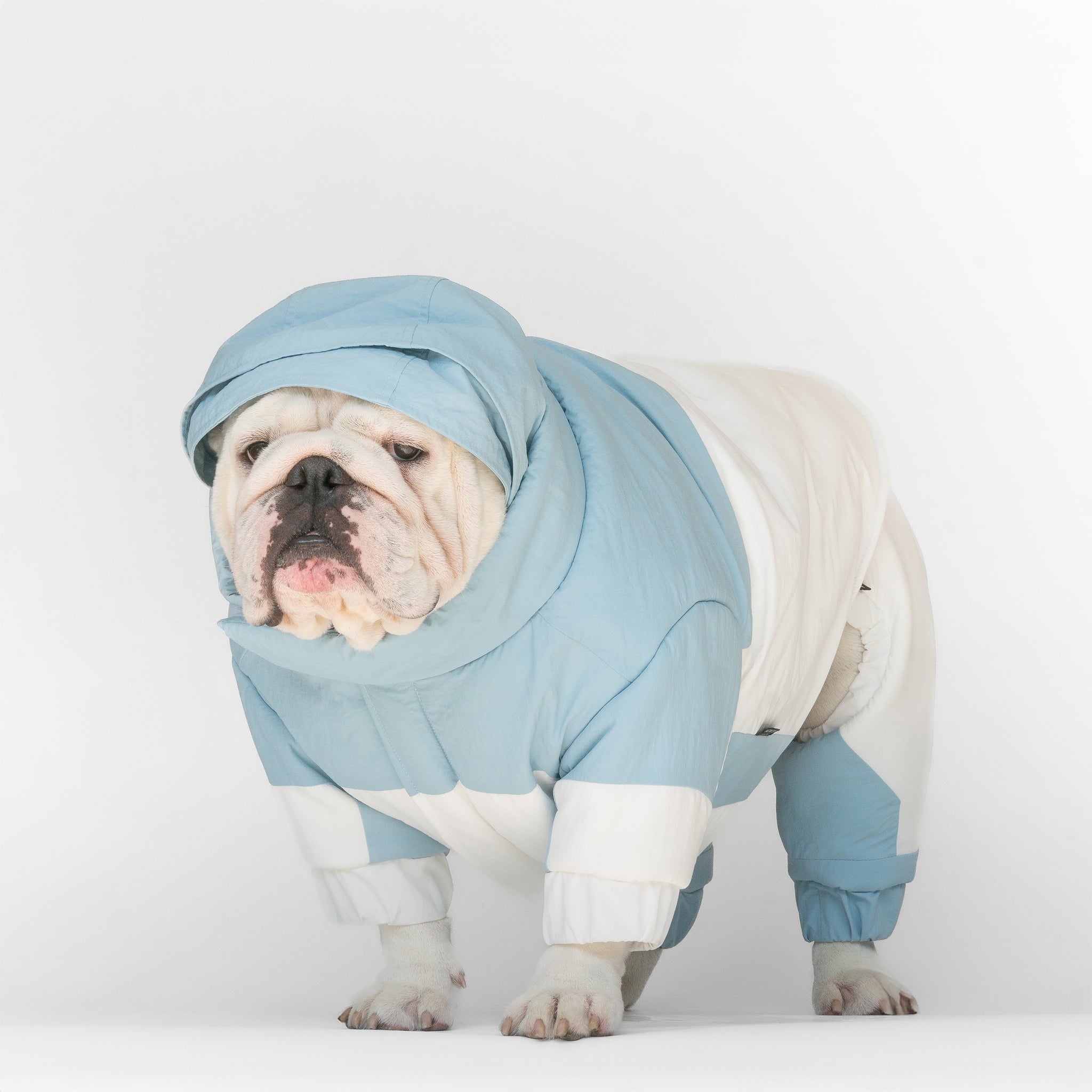 WONTON SNOWSTORM II in ice blue