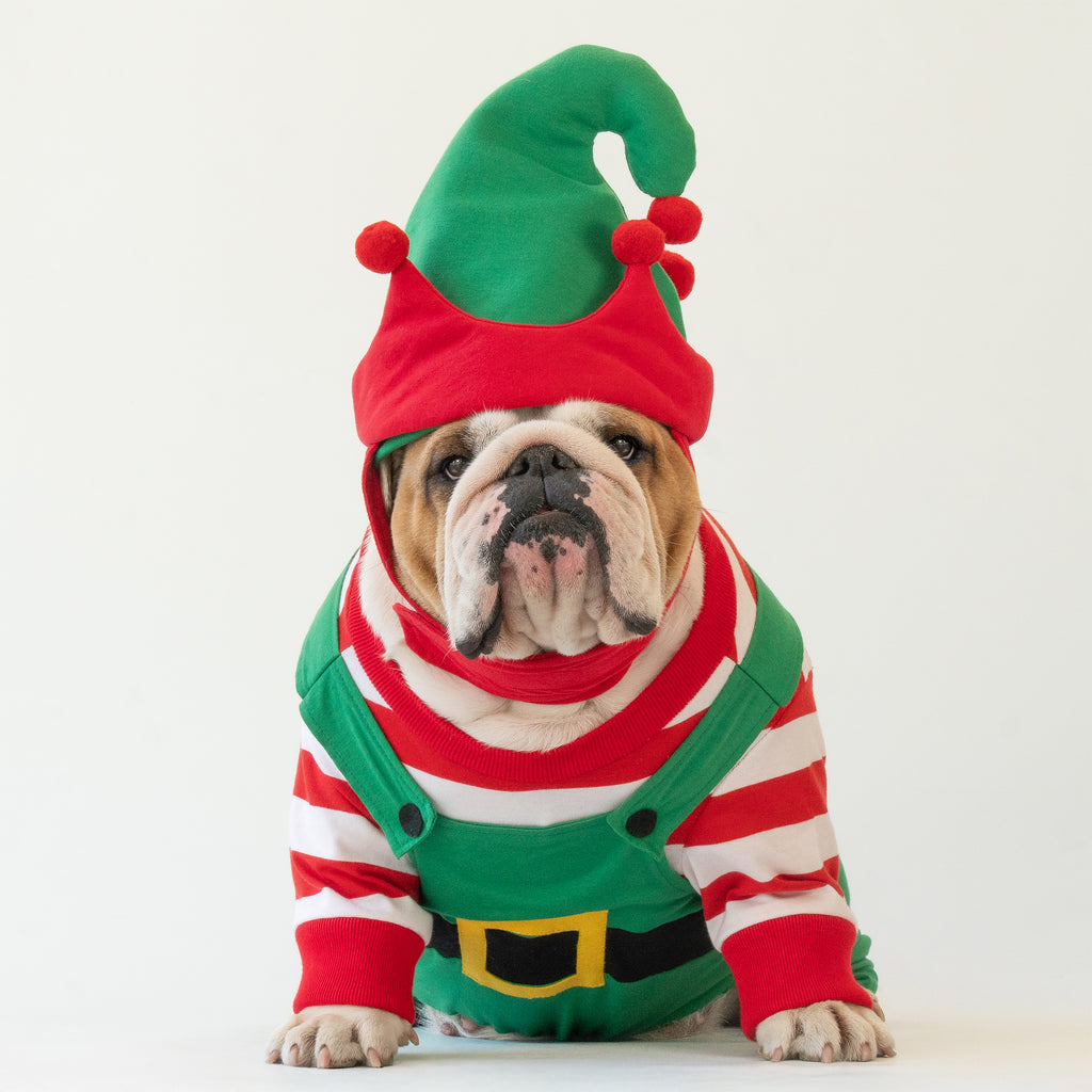 WONTON Santa's Helper Christmas Elf costume