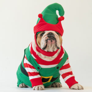 WONTON Santa's Helper Christmas Elf costume