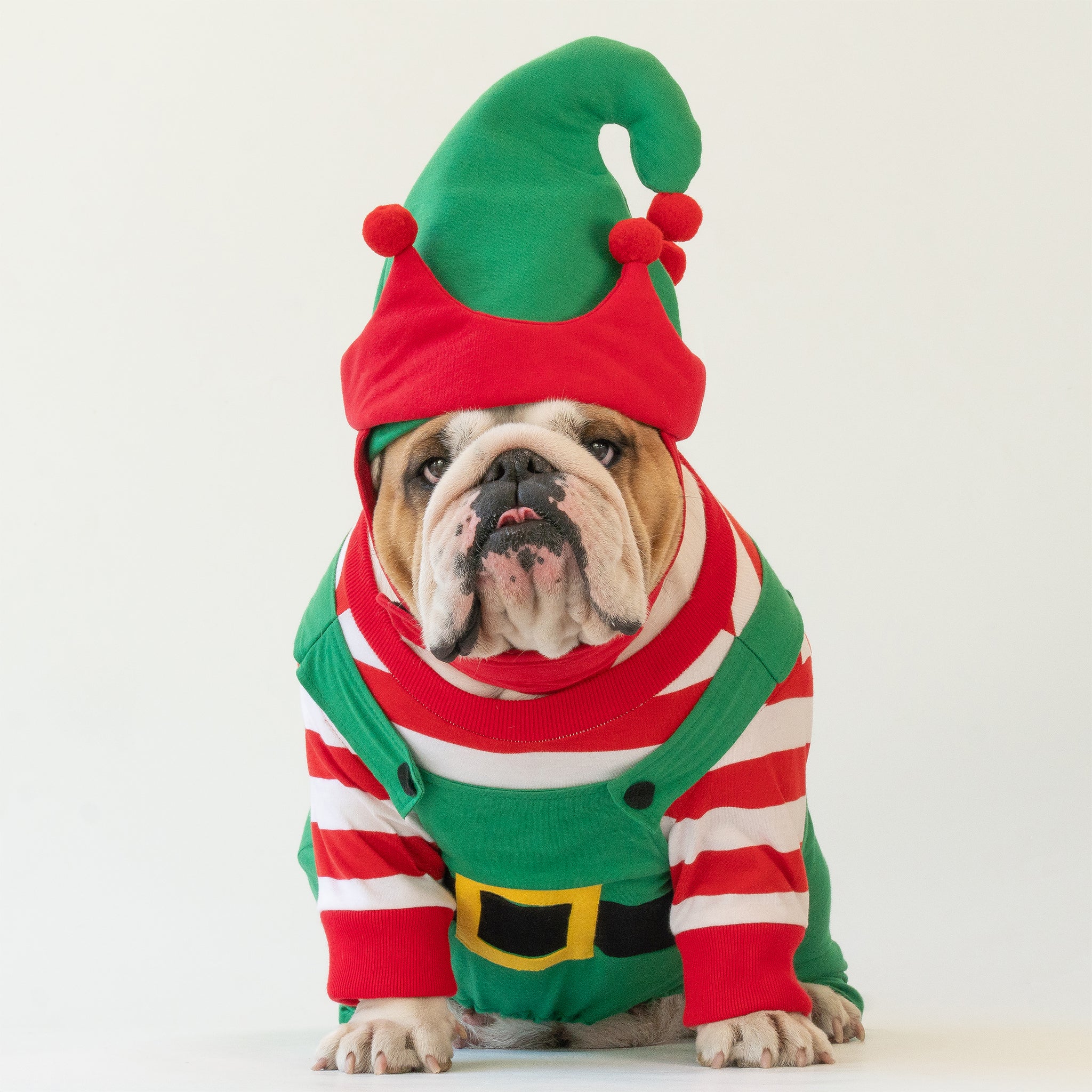 WONTON Santa's Helper Christmas Elf costume