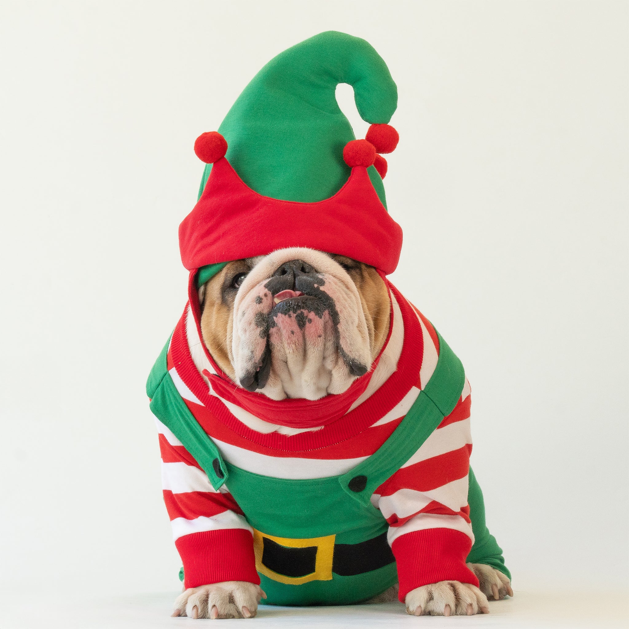 WONTON Santa's Helper Christmas Elf costume