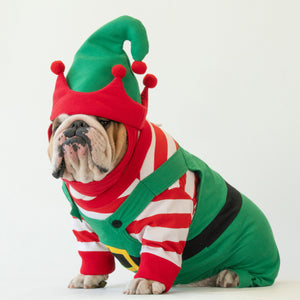 WONTON Santa's Helper Christmas Elf costume