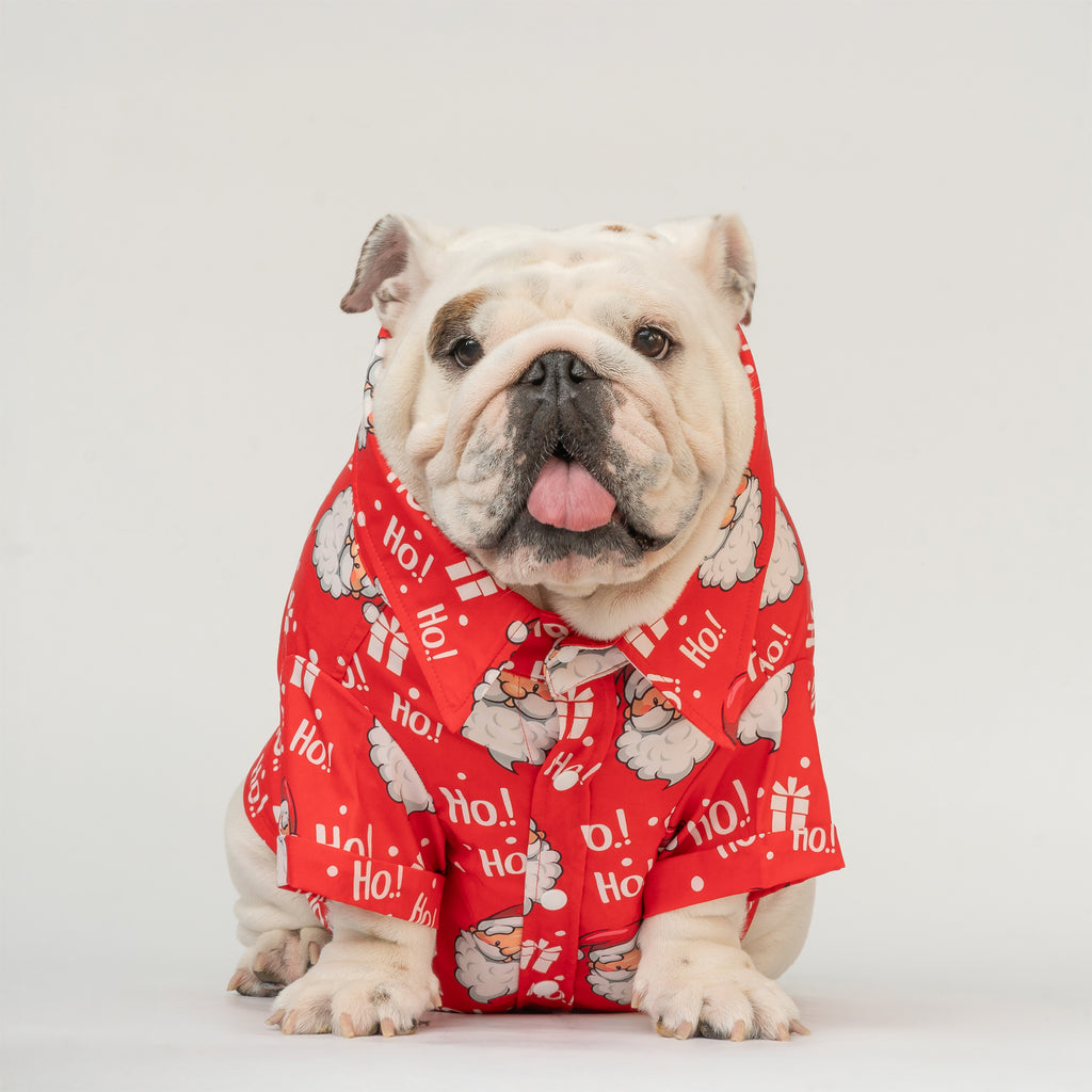 WONTON Santa shirt