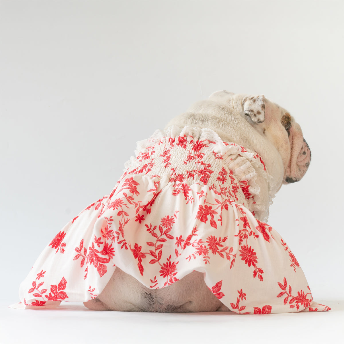 WONTON Scarlet Bloom dress