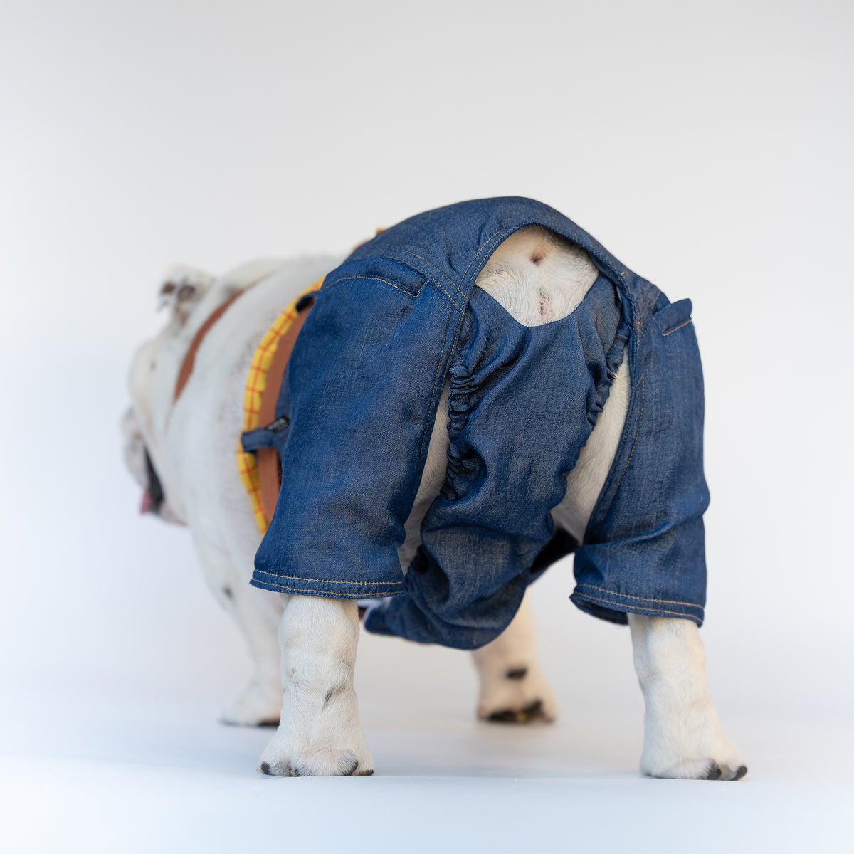 WONTON ONE PANTS 2 - Sheriff Cowboy Special Edition