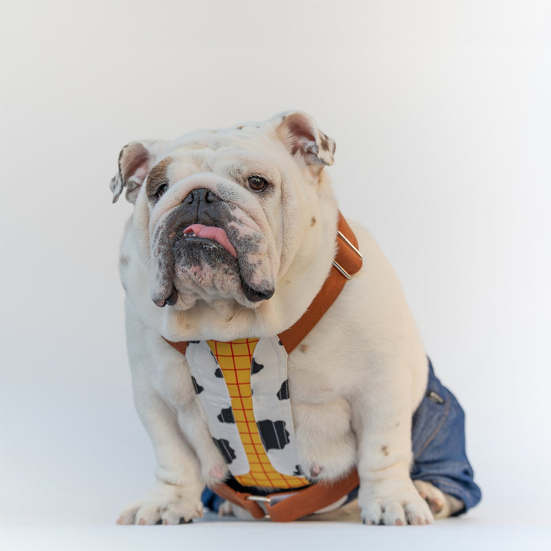 WONTON ONE PANTS 2 - Sheriff Cowboy Special Edition
