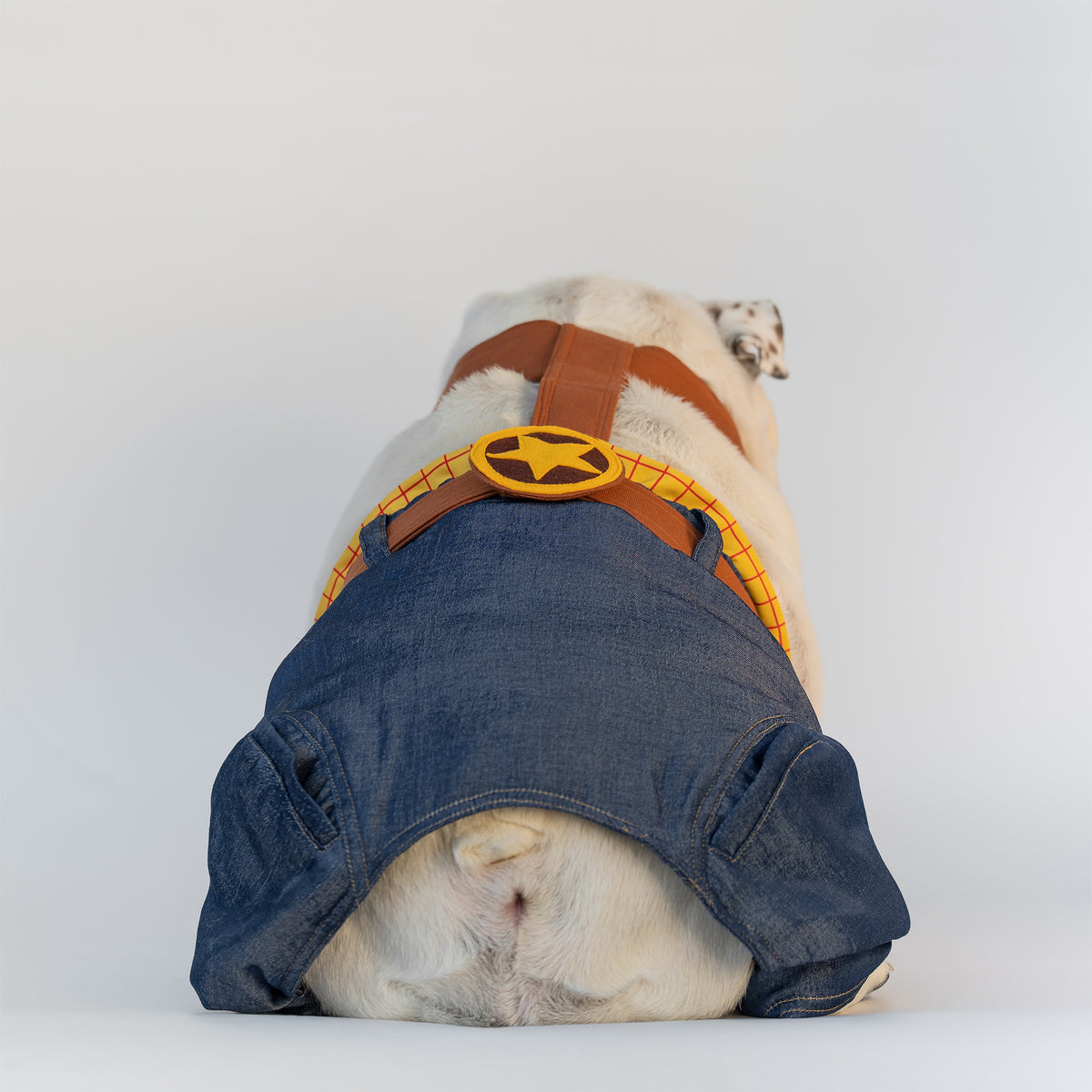 WONTON ONE PANTS 2 - Sheriff Cowboy Special Edition