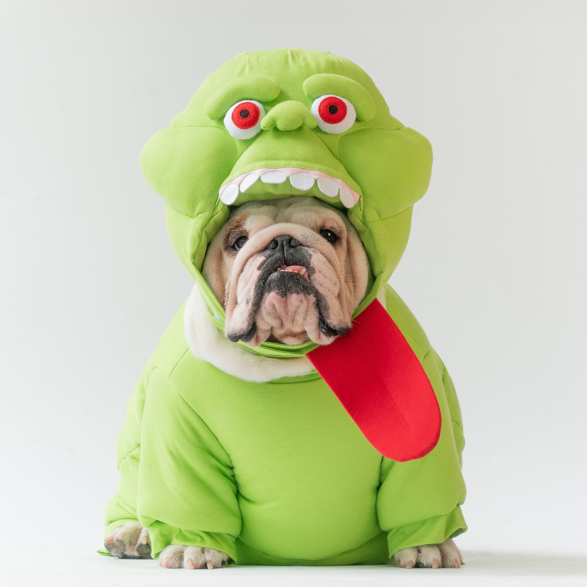 WONTON Slimer costume