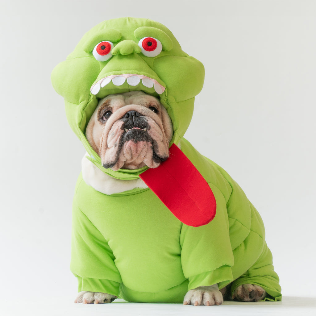 WONTON Slimer costume