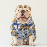 WONTON Spring Fever shirt
