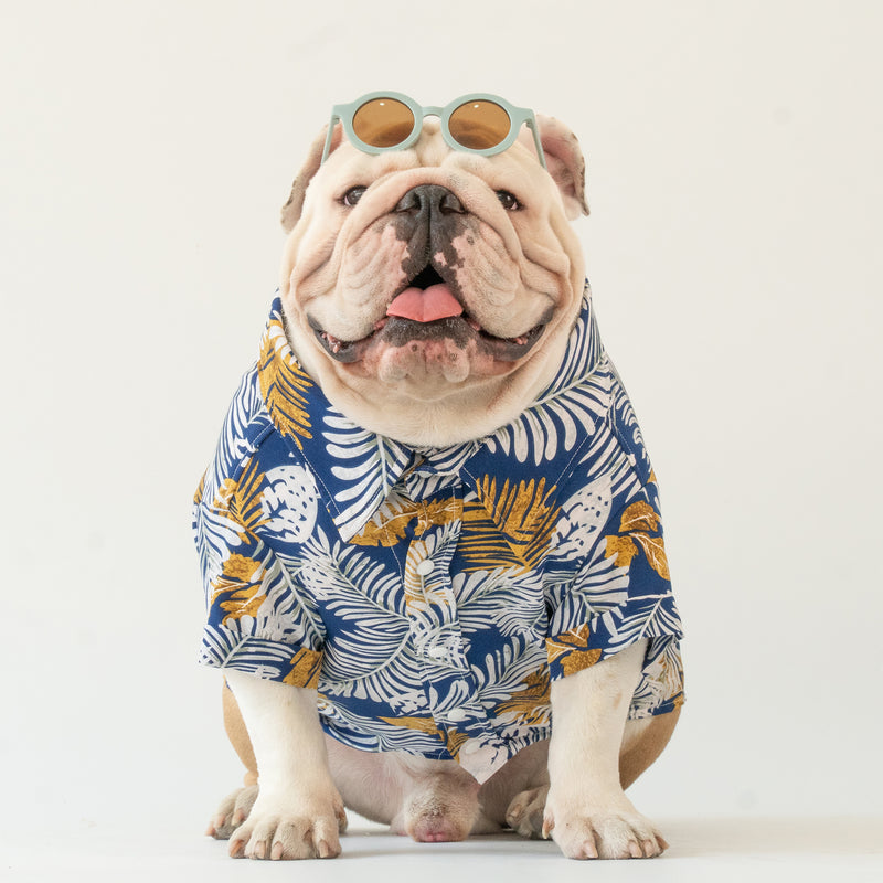 WONTON Spring Fever shirt