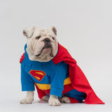 WONTON Superdog costume