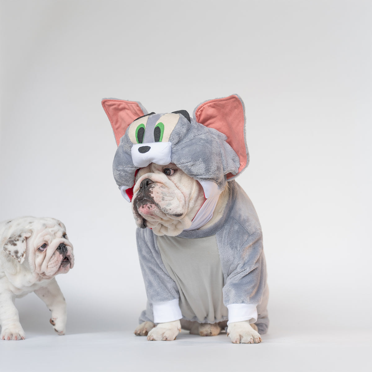 WONTON TOM costume
